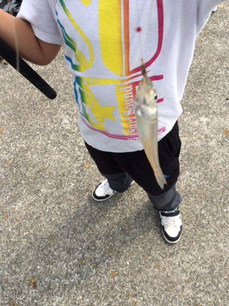 波止からちょい投げ釣り