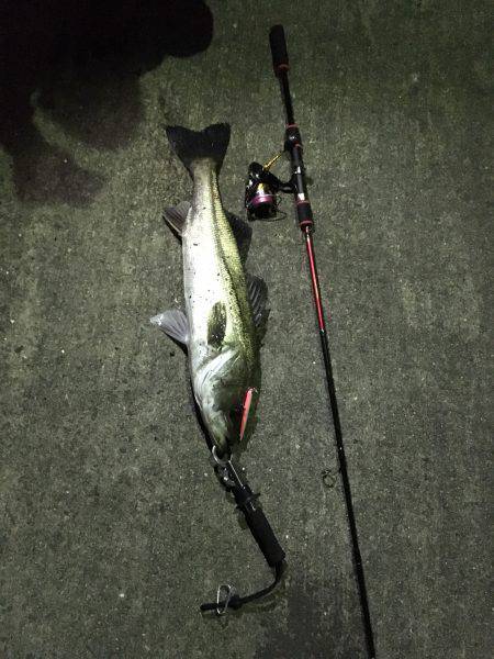 バチ抜け初の70