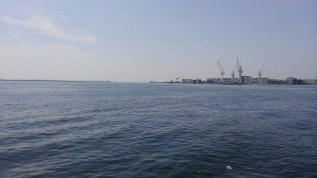 情報のアジは？・・・