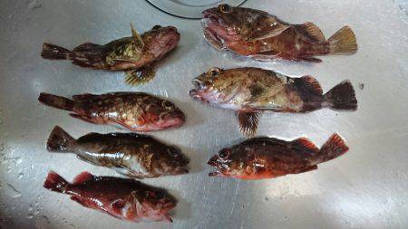 ガシリングからブラクリ