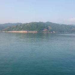 渋い中コウイカget