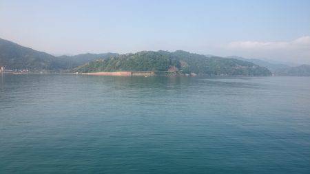 渋い中コウイカget