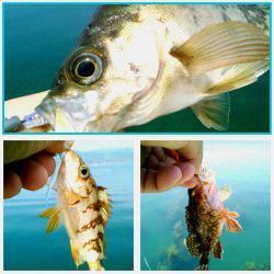 やっぱり癒される～♪