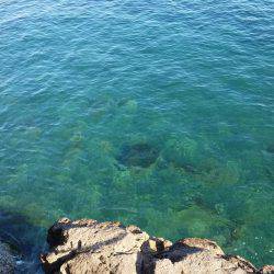 メバル狙いに。