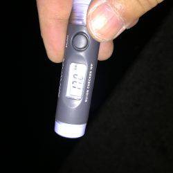 お腹パンパンのガッシー