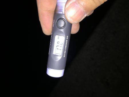 お腹パンパンのガッシー