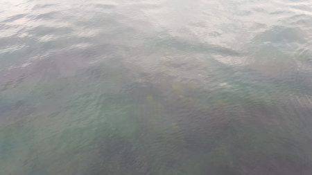 本日もエギング釣行