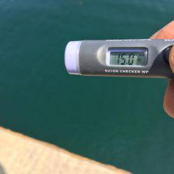 シーズン初のキス