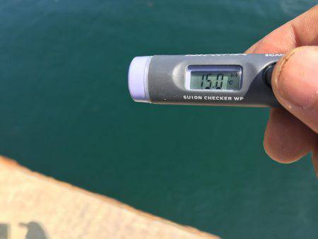 シーズン初のキス