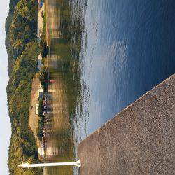 アジ食べたくて