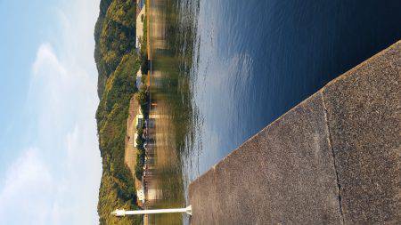 アジ食べたくて