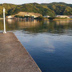 アジ食べたくて