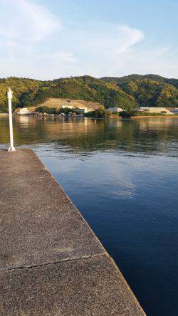 アジ食べたくて