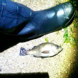 １人で不安……