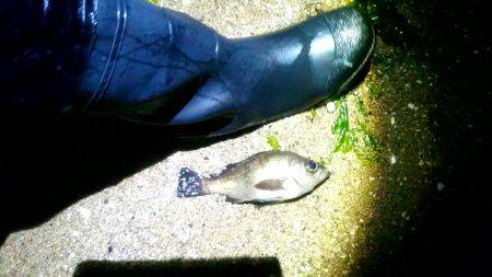 １人で不安……