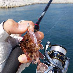 サバゲー開幕！？