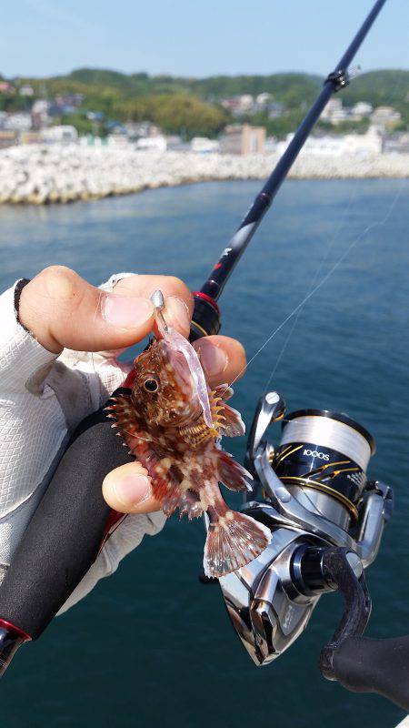 サバゲー開幕！？