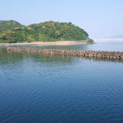 小浜新港　コウイカエギング