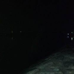 記録更新(人´3｀*)～♪