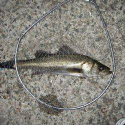 スランプ脱出？？？