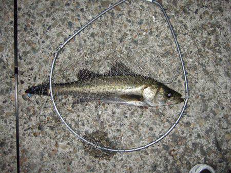 スランプ脱出？？？