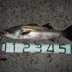 スランプ完全脱出！