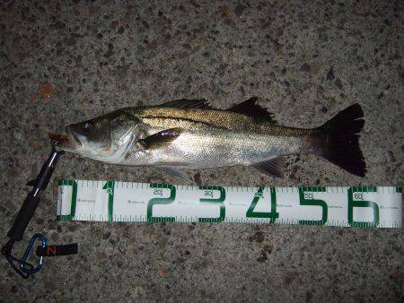 スランプ完全脱出！