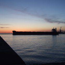 キス釣れてます。