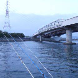 針はなまっていませんか？