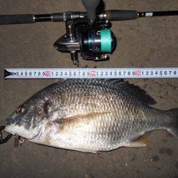 少々渋めのバチパターン。