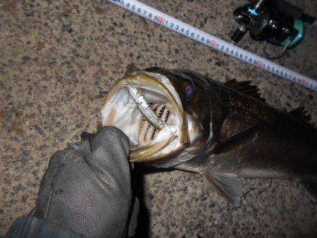 バチパターンでは不発。