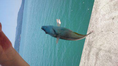 ﾏｯﾀﾘ釣り。