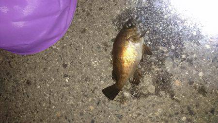 ﾒﾊﾞﾘﾝｸﾞ