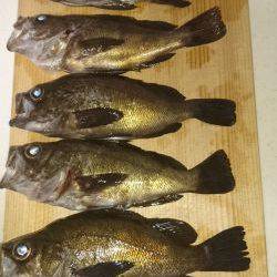 ﾒﾊﾞﾘﾝｸﾞ