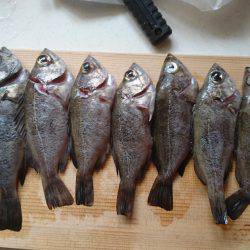 ﾒﾊﾞﾘﾝｸﾞ