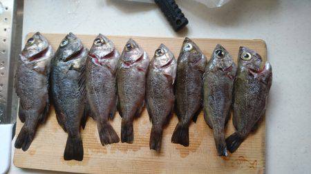 ﾒﾊﾞﾘﾝｸﾞ