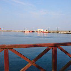 アジングロッドでちょい投げ❗