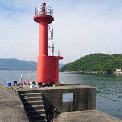 沼島でかご釣り