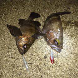 潮が動けば魚も動く!