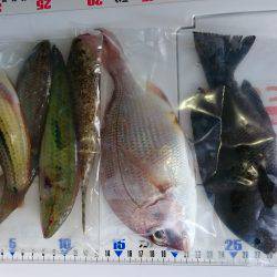 投げ釣り、キス釣り