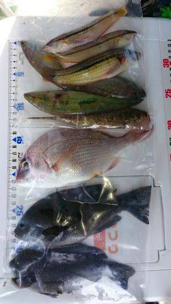 投げ釣り、キス釣り