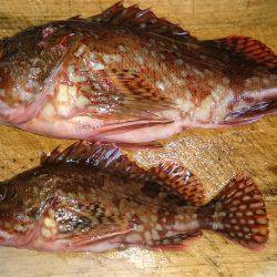 釣りあるある！？