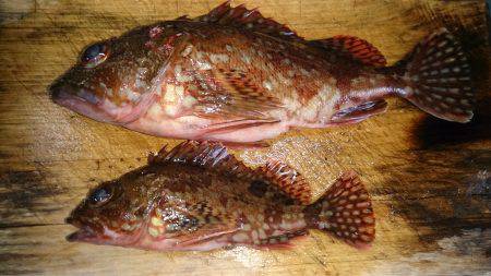 釣りあるある！？