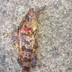 小さいタケノコ