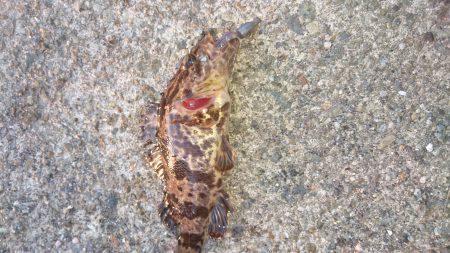 小さいタケノコ