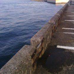 北港釣り公園ハマチ