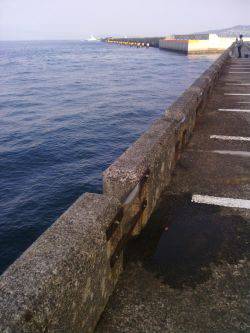 北港釣り公園ハマチ