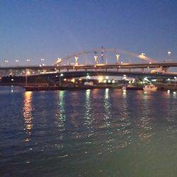 南港大橋チニング