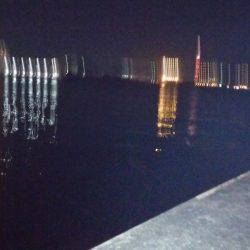 南港バチ調査！