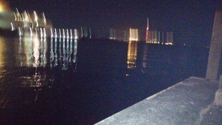 南港バチ調査！